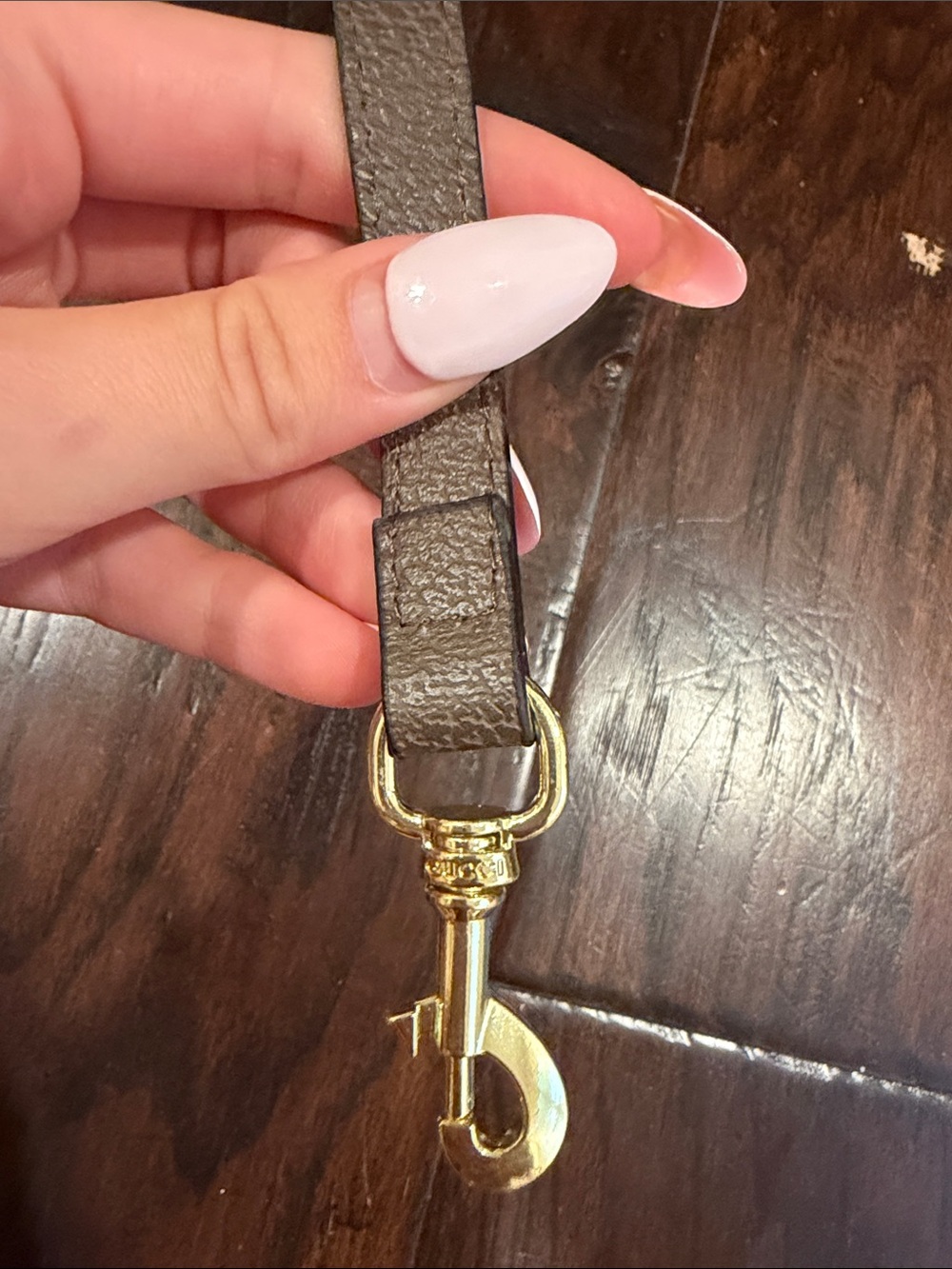 Accessory Identification - Picture 2 of 2